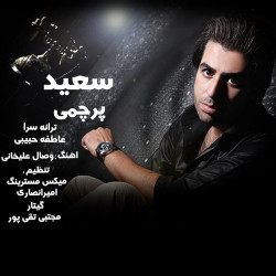 Saeid Parchami - Ehsase Ziba