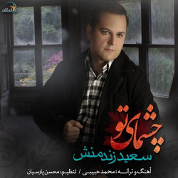 Saeed Zandmanesh - Cheshmaye To