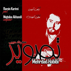 Mehrdad Habibi - Tasvir