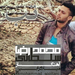 Mohammadreza Soltani - Tab
