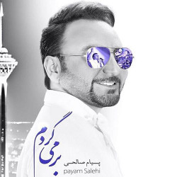 Payam Salehi - Barmigardam
