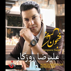 Alireza Roozegar - Fenjoone Barax