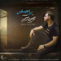 Amin Rostami - Bi Ehsas
