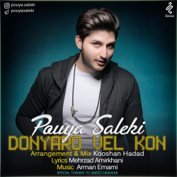 Pouya Saleki - Donyaro Vel Kon