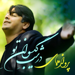 Parvaz Homay - Divane Tari