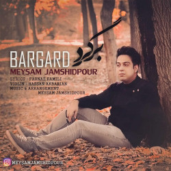 Meysam Jamshidpour - Bargard