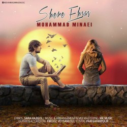 Mohammad Minaei - Shere Ehsas