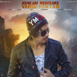 Vahid Faryad - Ashkam Nemizare
