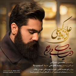 Ali Zand Vakili - Donyaye Birahm