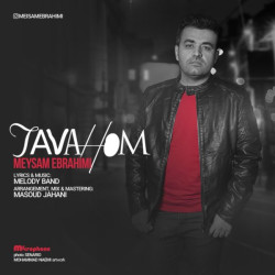 Meysam Ebrahimi - Tavahom