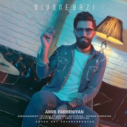 Amir Fakhrniyan - Divoone Bazi