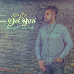Mohamadreza Seily - Delbari