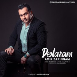 Amir Zarinnam - Delaram