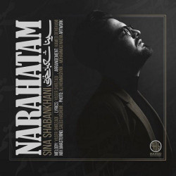 Sina Shabankhani - Narahatam
