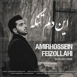 Amirhossein Feizollahi - In Delam Tange