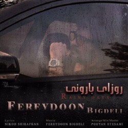 Fereydoon Bigdeli - Rainy Days