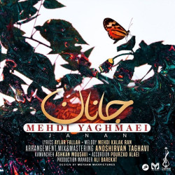 Mehdi Yaghmaei - Janan