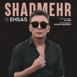 Shadmehr Aghili - Bi Ehsas
