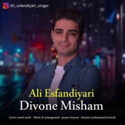 Ali Esfandiyari - Divoone Misham