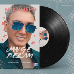 Shadmehr Aghili - Jange Delam