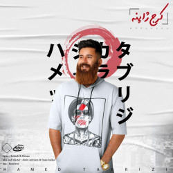 Hamed Tabrizi - Karaj Japoneh