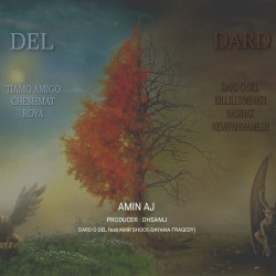 Amin Aj - Dard O Del