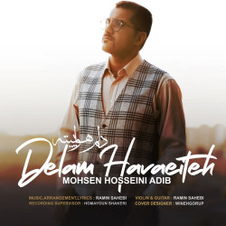 Mohsen Hosseini Adib - Delam Havaeiteh