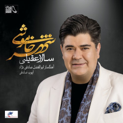 Salar Aghili - Bargard