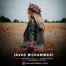 Javad Mohammadi - Gisoo Feshan