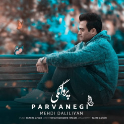 Mehdi Daliliyan - Parvanegi
