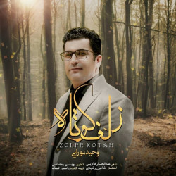 Vahid Nooraei - Zolfe Kootah