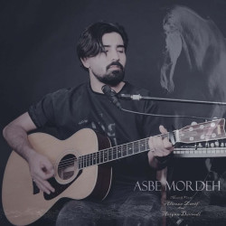 Alireza Zarif - Asbe Mordeh