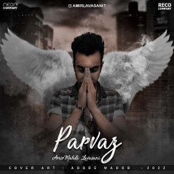 Amirmahdi Lavasani - Parvaz
