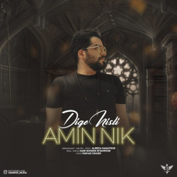 Amin Nik - Dige Nisti