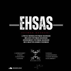 Peyman Bahrani - Negah Nakon