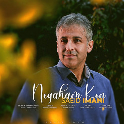 Saeid Imani - Negaham Kon