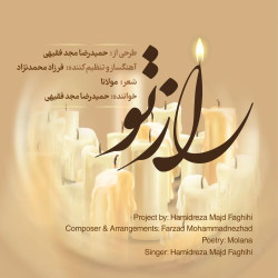 Hamidreza Majd Faghihi - Raze To