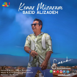 Saeid Alizadeh - Kenar Mizaram