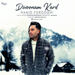 Hamid Forooghi - Divoonam Kard