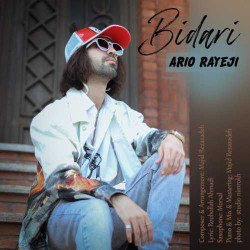 Ario Rayeji - Bidari