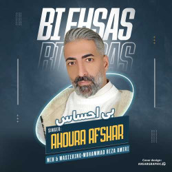 Hamid Mohammadi - Bi Ehsas