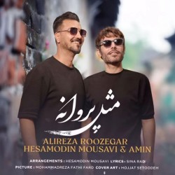 Alireza Roozegar & Hesamodin Mousavi & Amin - Mesle Parvaneh