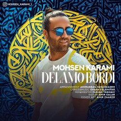Mohsen Karami - Delamo Bordi