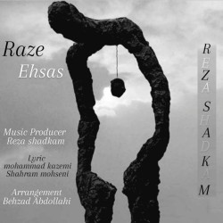 Reza Shadkam - Raze Ehsas