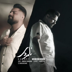 Mehdi Deldade - Namardi