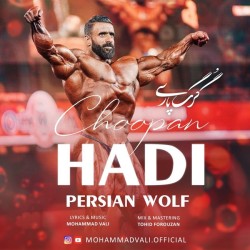 Mohammad Vali - Persian Wolf