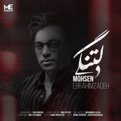 Mohsen Ebrahimzadeh - Deltangi