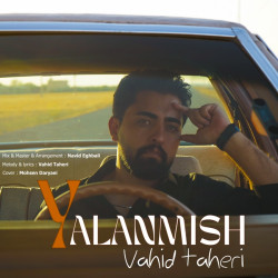 Vahid Taheri - Yalanmish