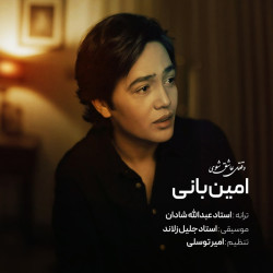 Amin Bani - Vaghti Ashegh Shavi