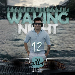 Dj Salim - Waking Night 12